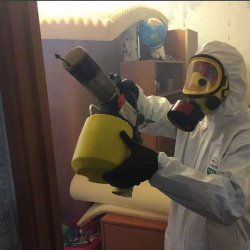 Уничтожение клопов в квартире. Братовщина